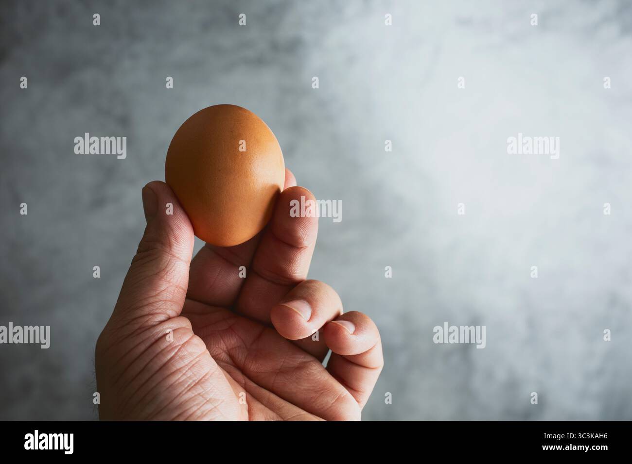Vista di una mano che tiene in mano un uovo. Foto Stock