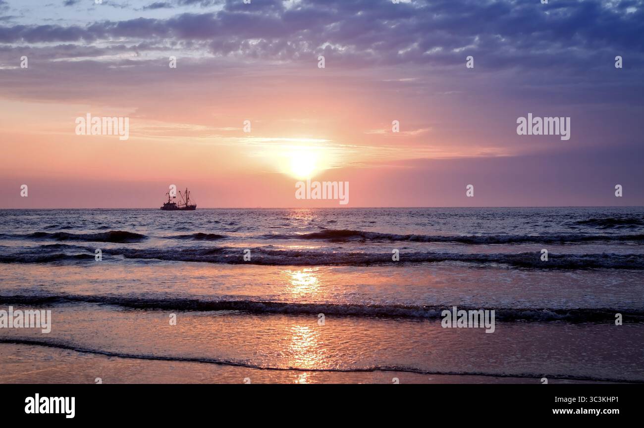 Taglia granchi Abenrot Mare del Nord Foto Stock