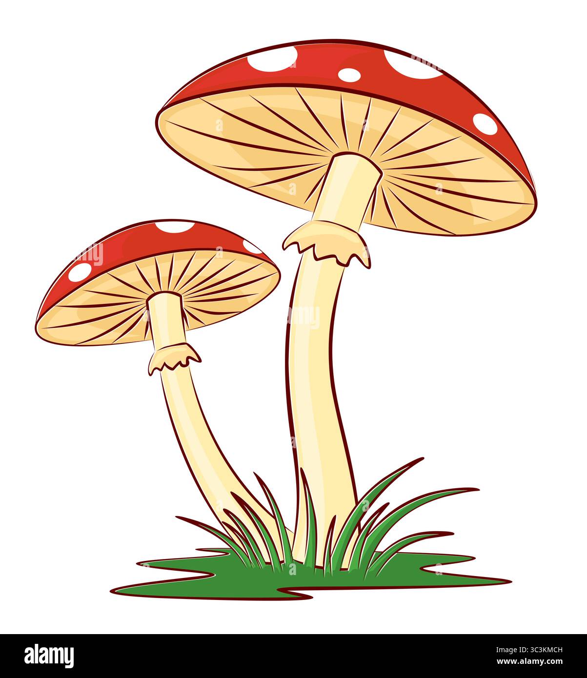 I funghi della foresta rossa con un'erba verde. Illustrazione Vettoriale