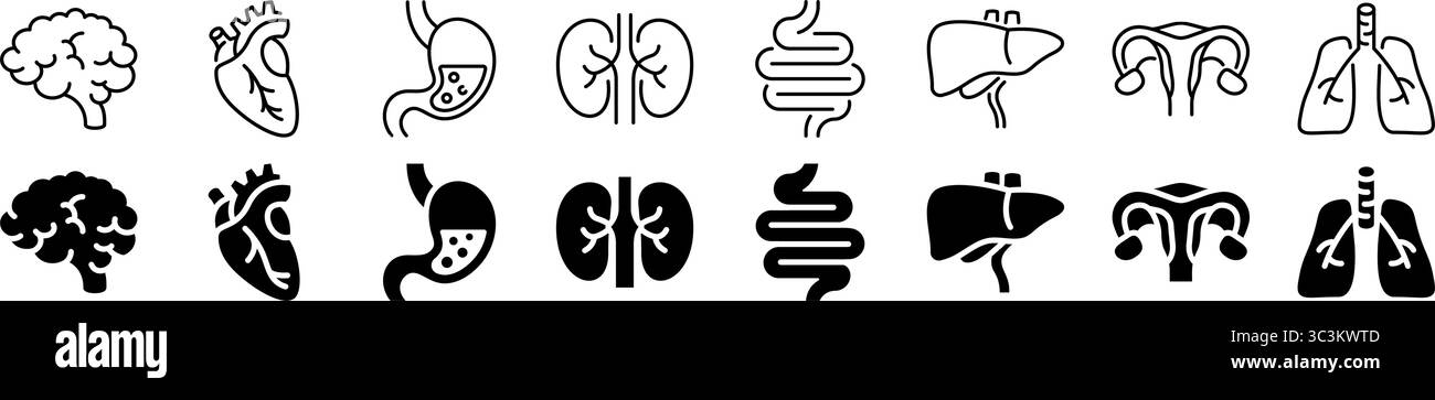 Set di icone per organi umani e anatomia interna. Stile lineare e di silhouette. Illustrazione Vettoriale
