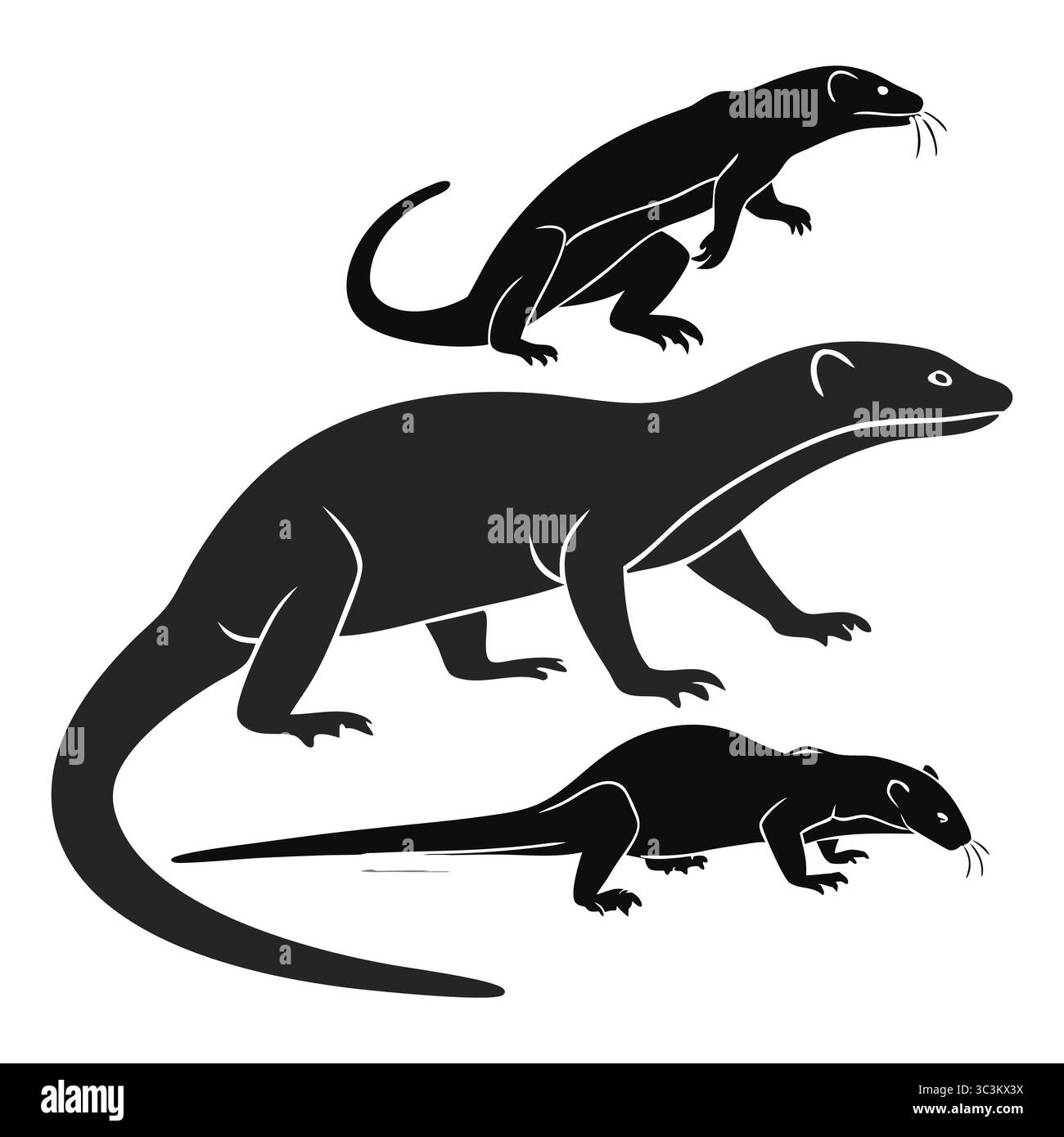 Illustrazione della silhouette di tre lucertole Ackie aMonitor in posizioni diverse Illustrazione Vettoriale