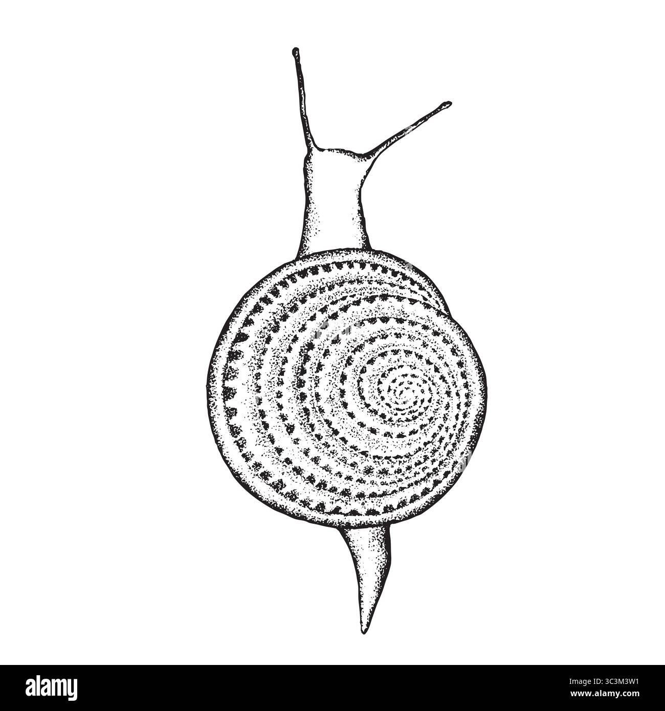 Bella lumaca. Lumaca da giardino. Elemento per design isolato. Illustrazione di un animale disegnato a mano. Progetta per il tuo progetto grafico creativo, cartolina Illustrazione Vettoriale