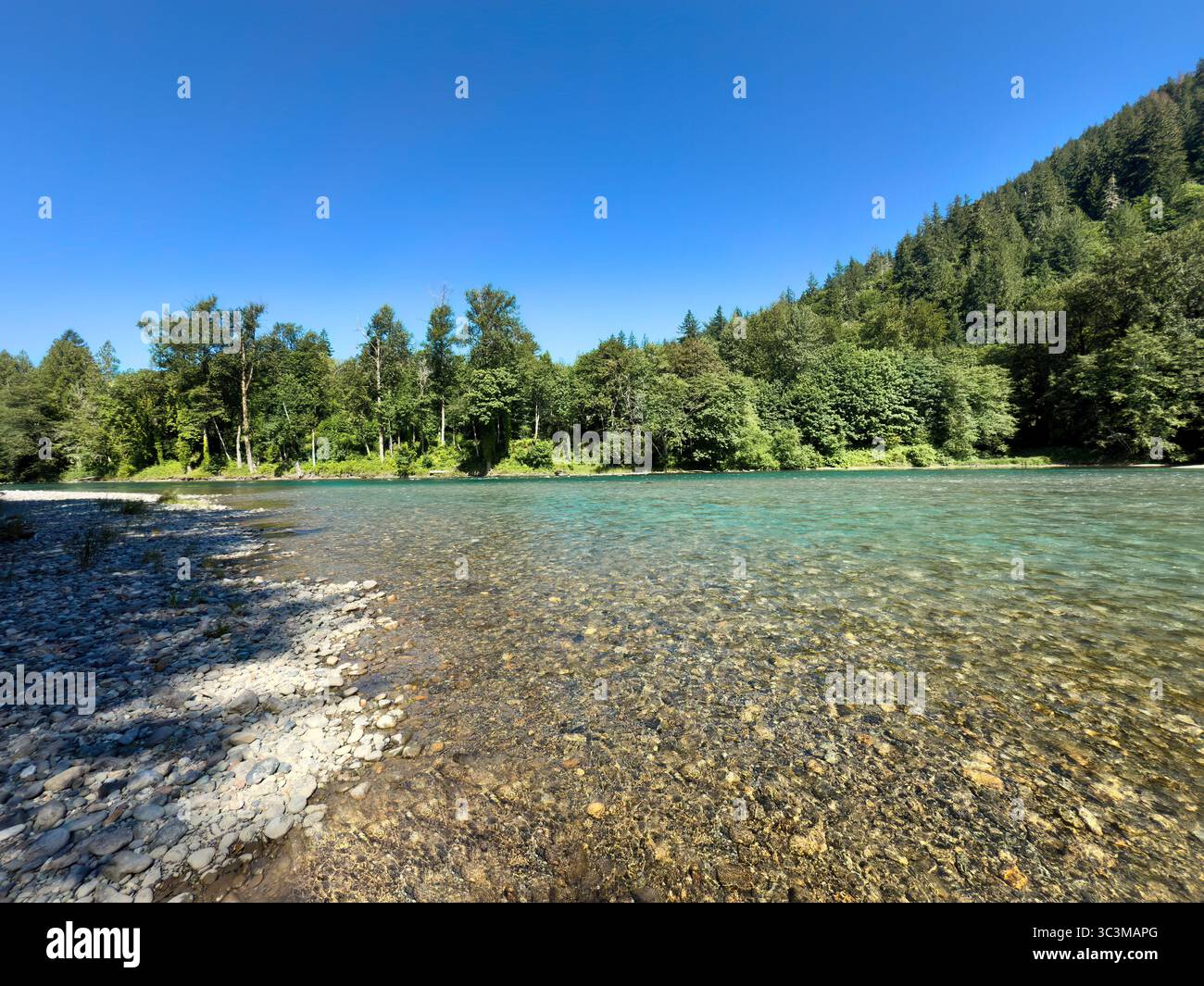 Fiume Skagit nello stato di Washington durante l'inizio della stagione estiva con splendide acque fluenti e alberi e cielo blu sullo sfondo Foto Stock