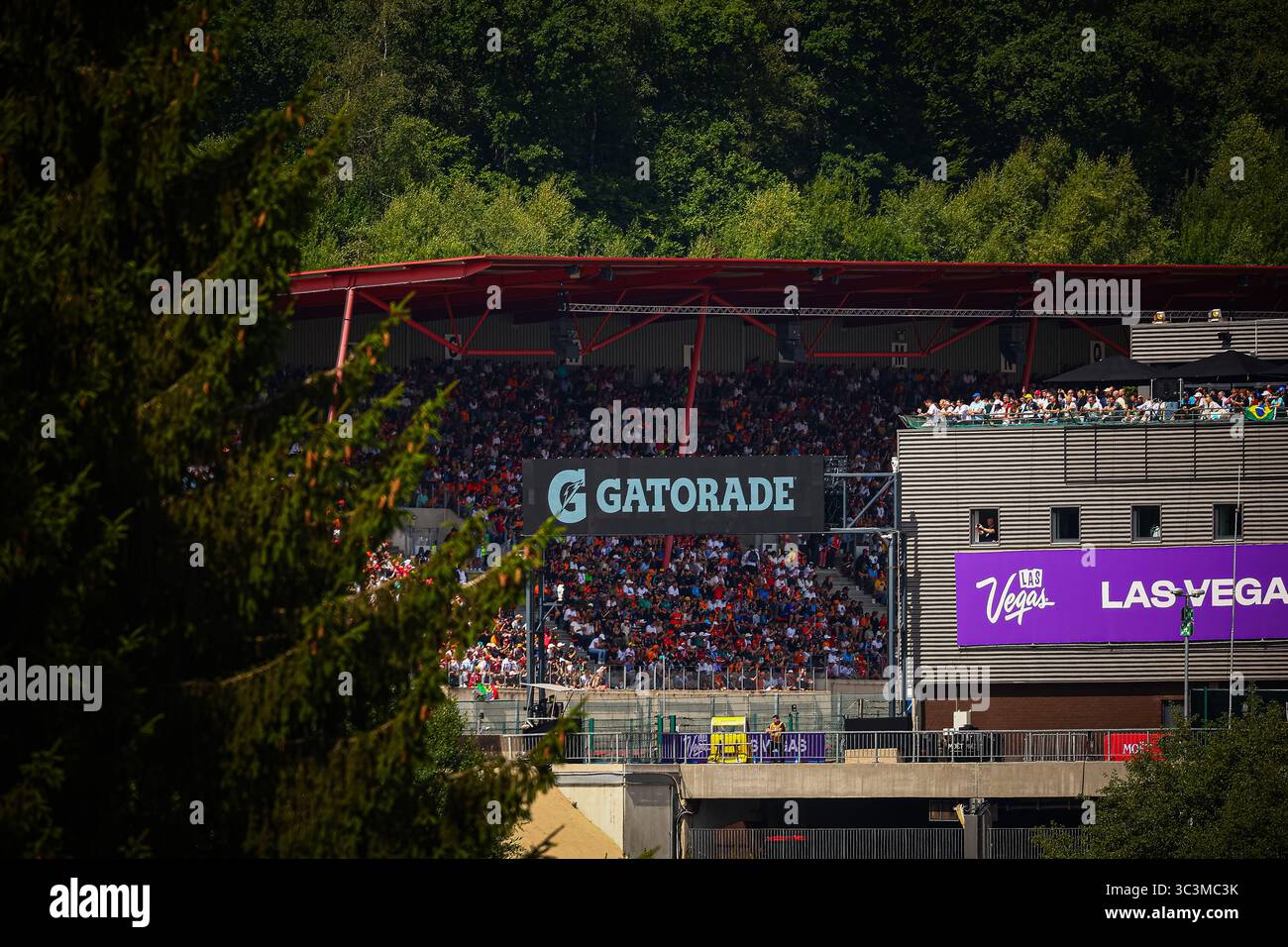 Public/Tifosi/fan/Grandstand, durante il GP del Belgio, Spa-Francorchamps 24-27 luglio 2025 Campionato del mondo di Formula 1 2025. Foto Stock