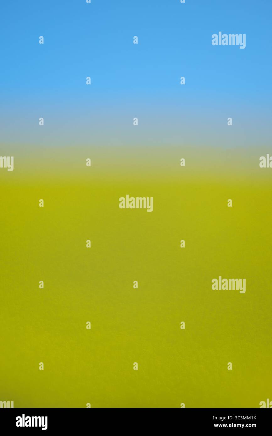 Una fotografia minimalista di paesaggio rurale con un cielo blu vibrante che incontra un campo lussureggiante e verde. L'immagine cattura la bellezza serena della natura con Foto Stock