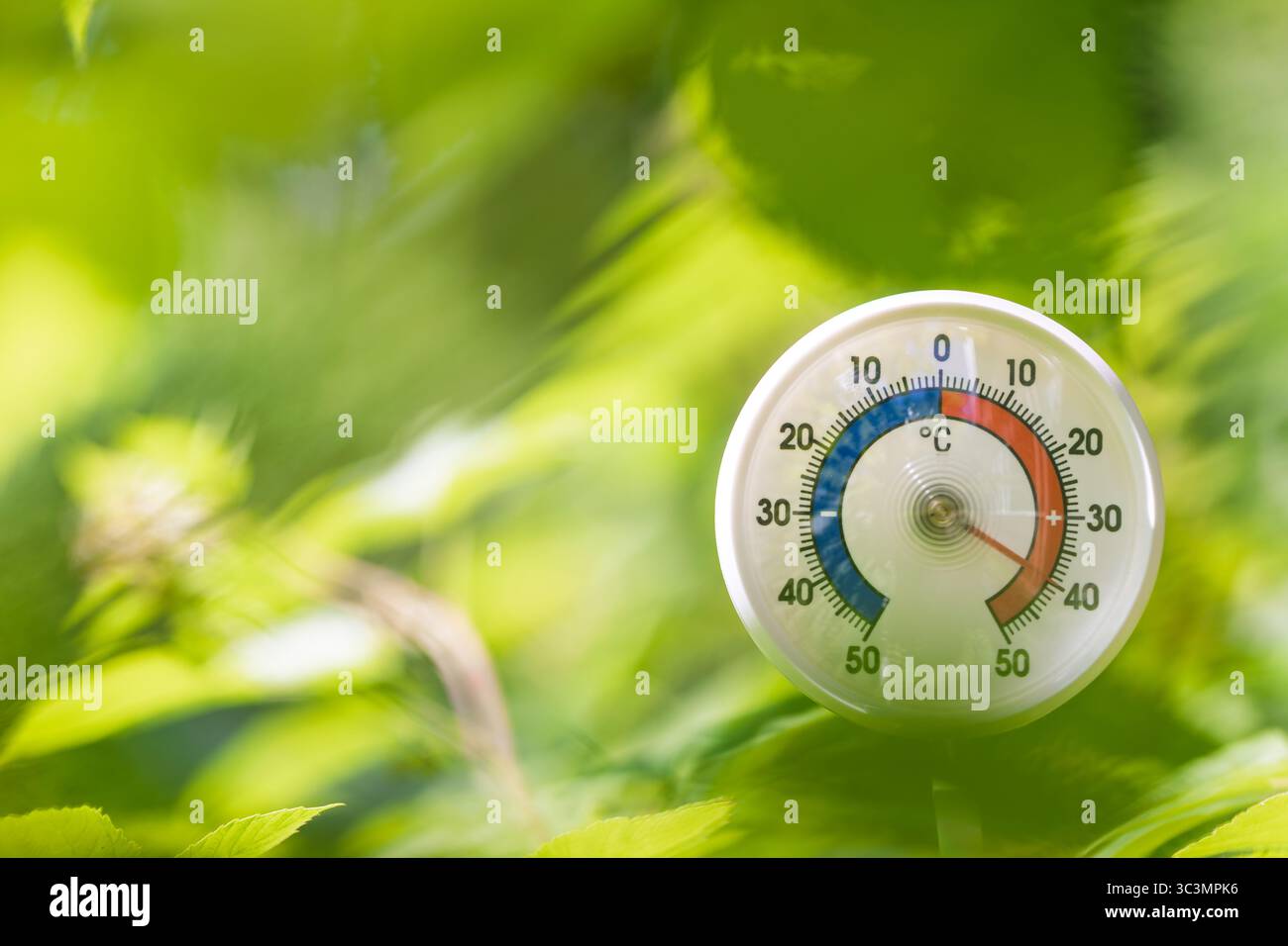Un termometro analogico collocato all'aperto in fitto fogliame verde mostra quasi 40 °C durante una giornata estiva di sole, a rappresentare le condizioni delle onde termiche e il clima Foto Stock