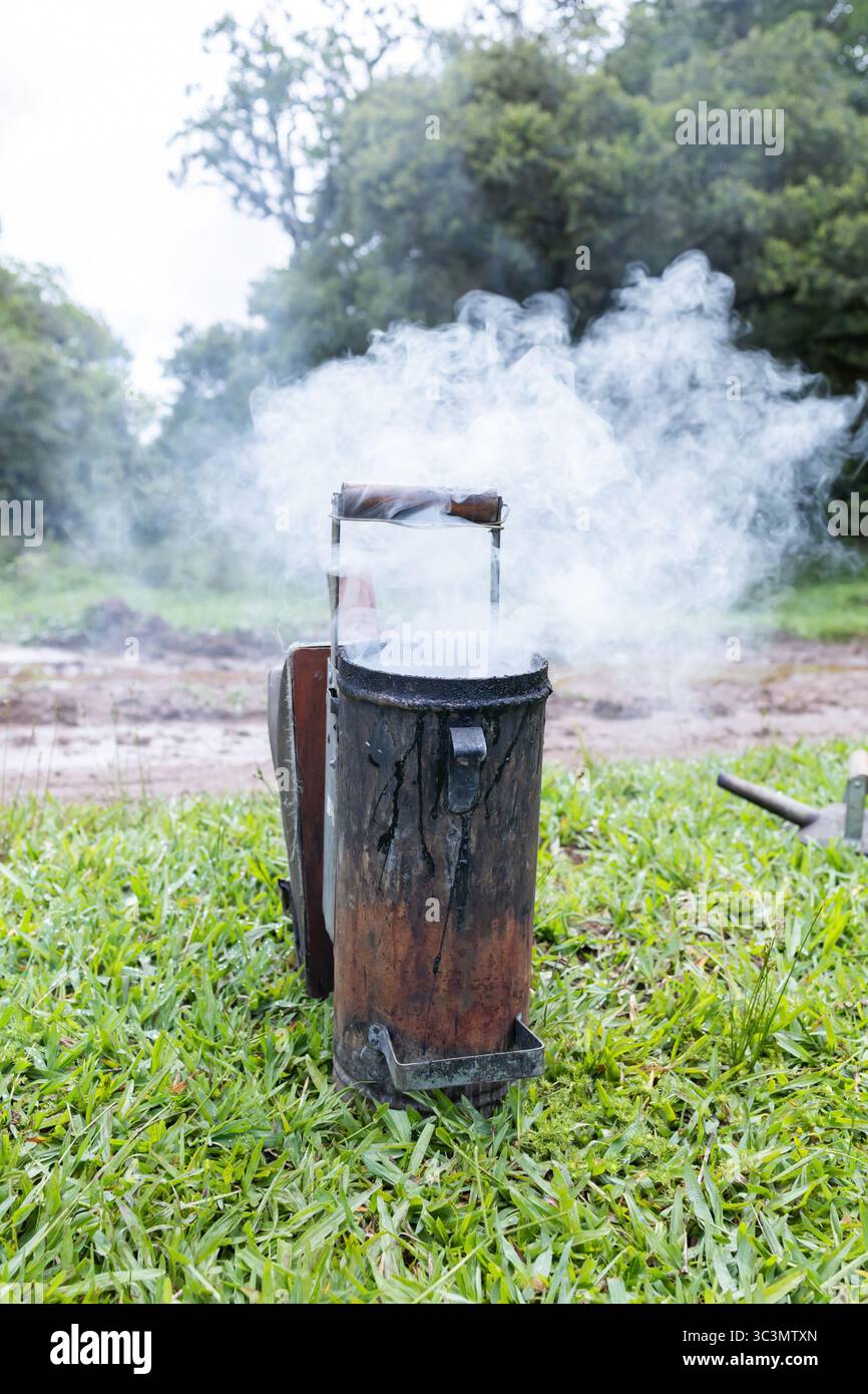 Un tradizionale fumatore di miele viene utilizzato durante un processo di raccolta del miele a Cambara, in Brasile. L'apparecchiatura produce fumo per calmare le api, garantendo la sicurezza e. Foto Stock