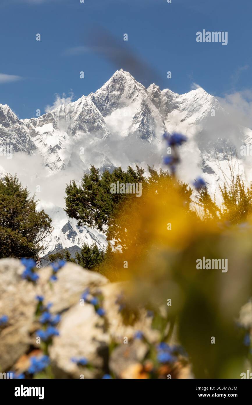 Maestose vette innevate dell'Himalaya si innalzano dietro vibranti fiori selvatici blu e gialli, offrendo una vista panoramica mozzafiato nel cuore di N. Foto Stock