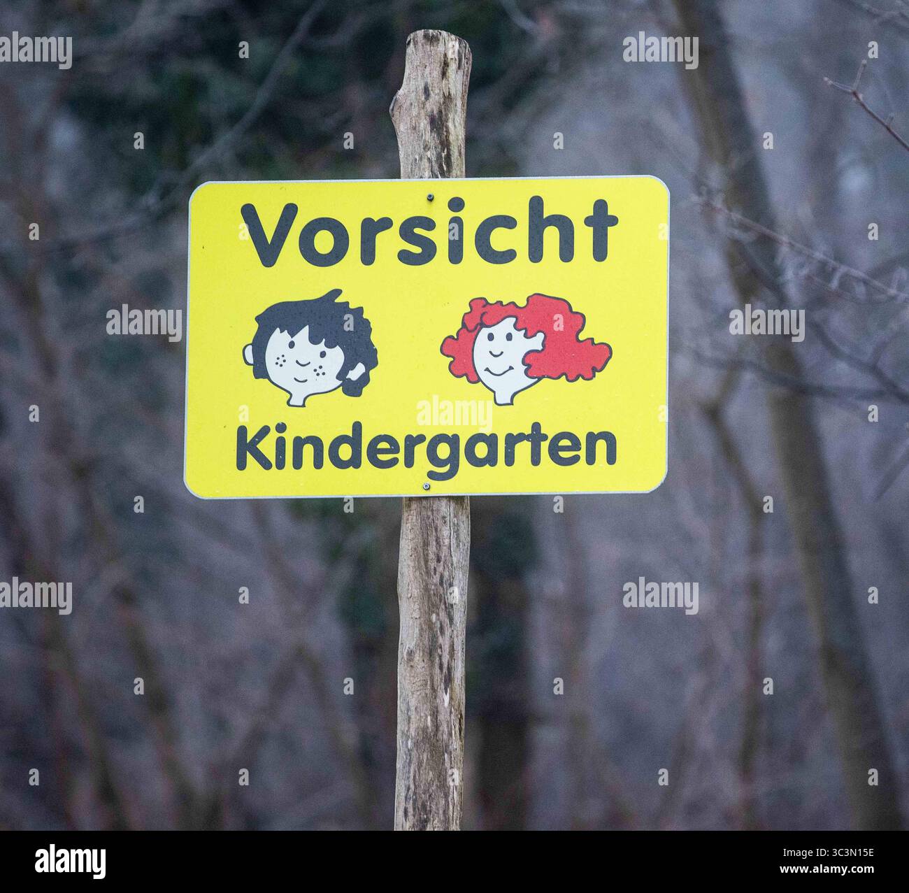 Waldkitas und ASP Schweinepest und Wald-KITAS: Gibt es Bedenken, in Die KITAS zurückzukehren Wie beliebt sind Ausflüge in den Wald 22.01.2025 Lampertheim Waldkitas und ASP Schweinepest und Wald-KITAS: gibt es Bedenken, in Die KITAS zurückzukehren Wie beliebt sind Ausflüge in den Wald **** i centri di assistenza forestale e la peste suina ASF e i centri di assistenza forestale sono preoccupati di tornare in asili nido quanto sono popolari le escursioni nella foresta 22 01 2025 i centri di assistenza diurna Lampertheim Forest, la peste suina ASF e i centri di assistenza diurna forestale sono preoccupati per il ritorno in asilo Foto Stock