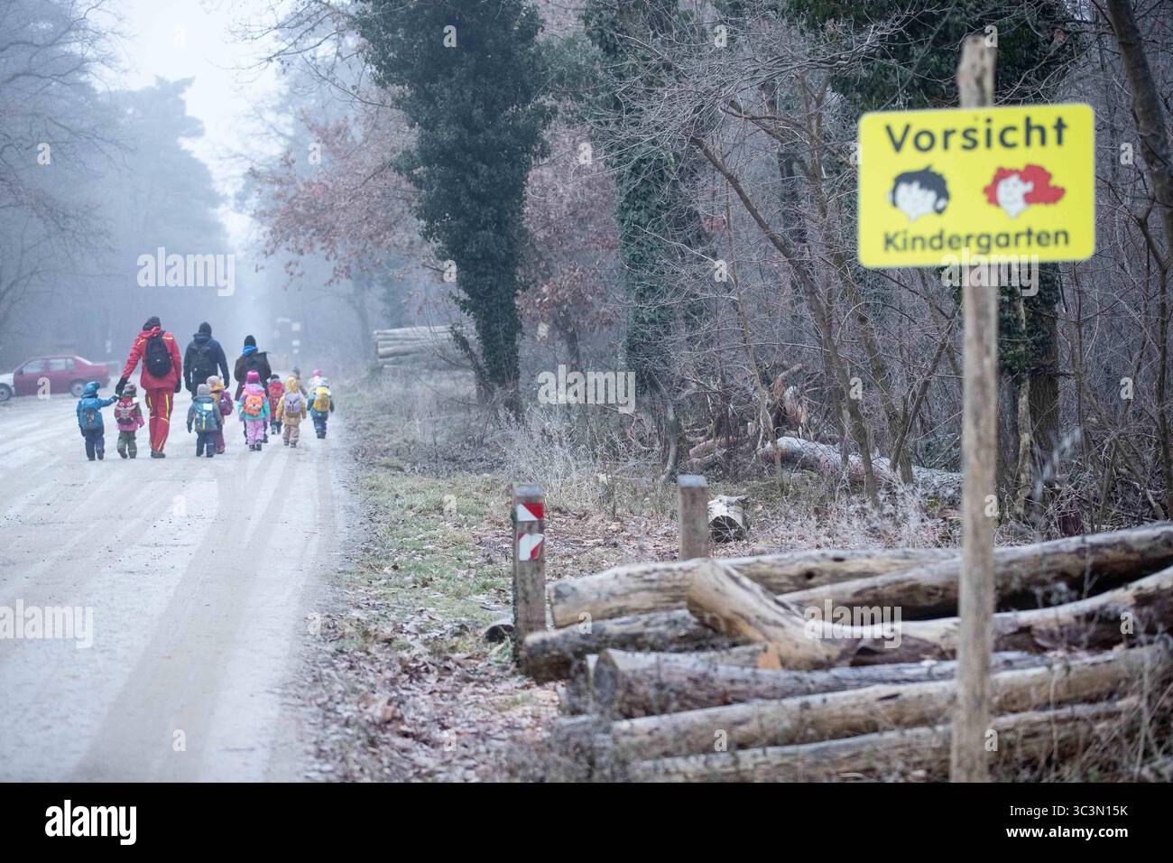 Waldkitas und ASP Schweinepest und Wald-KITAS: Gibt es Bedenken, in Die KITAS zurückzukehren Wie beliebt sind Ausflüge in den Wald 22.01.2025 Lampertheim Waldkitas und ASP Schweinepest und Wald-KITAS: gibt es Bedenken, in Die KITAS zurückzukehren Wie beliebt sind Ausflüge in den Wald **** i centri di assistenza forestale e la peste suina ASF e i centri di assistenza forestale sono preoccupati di tornare in asili nido quanto sono popolari le escursioni nella foresta 22 01 2025 i centri di assistenza diurna Lampertheim Forest, la peste suina ASF e i centri di assistenza diurna forestale sono preoccupati per il ritorno in asilo Foto Stock
