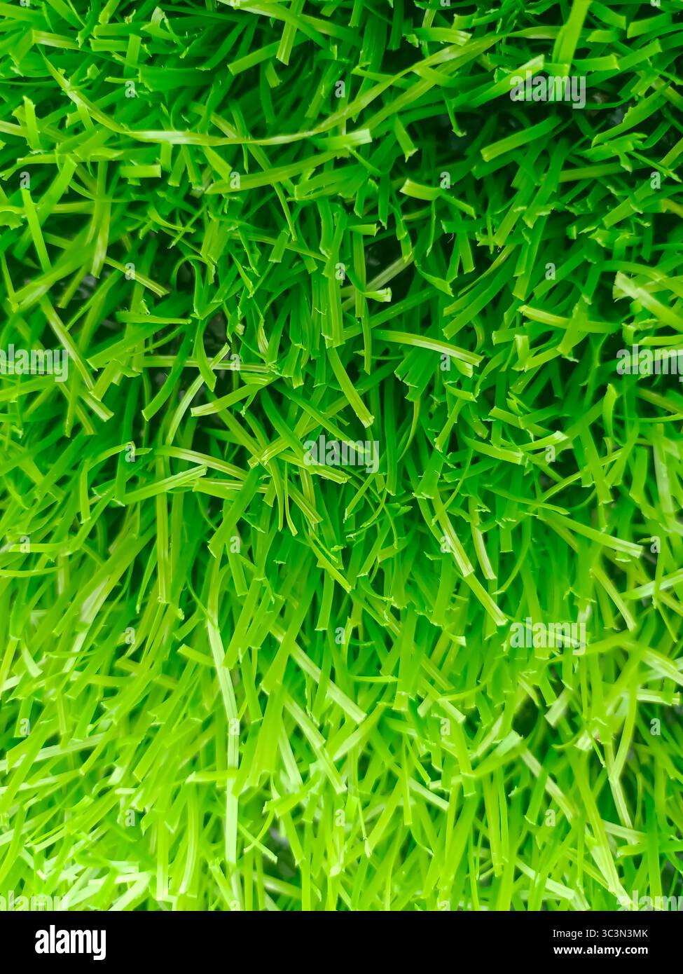 Il vivace verde dell'erba artificiale Foto Stock