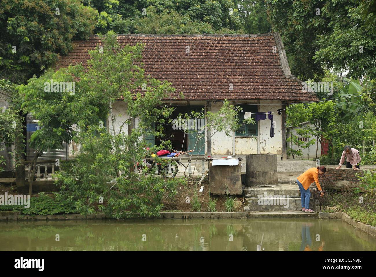 Una casa della metà del XX secolo con colonne e travi in legno, pareti in terra e tetto piastrellato, con giardino e laghetto di pesci, a Dien Bien, Vietnam Foto Stock
