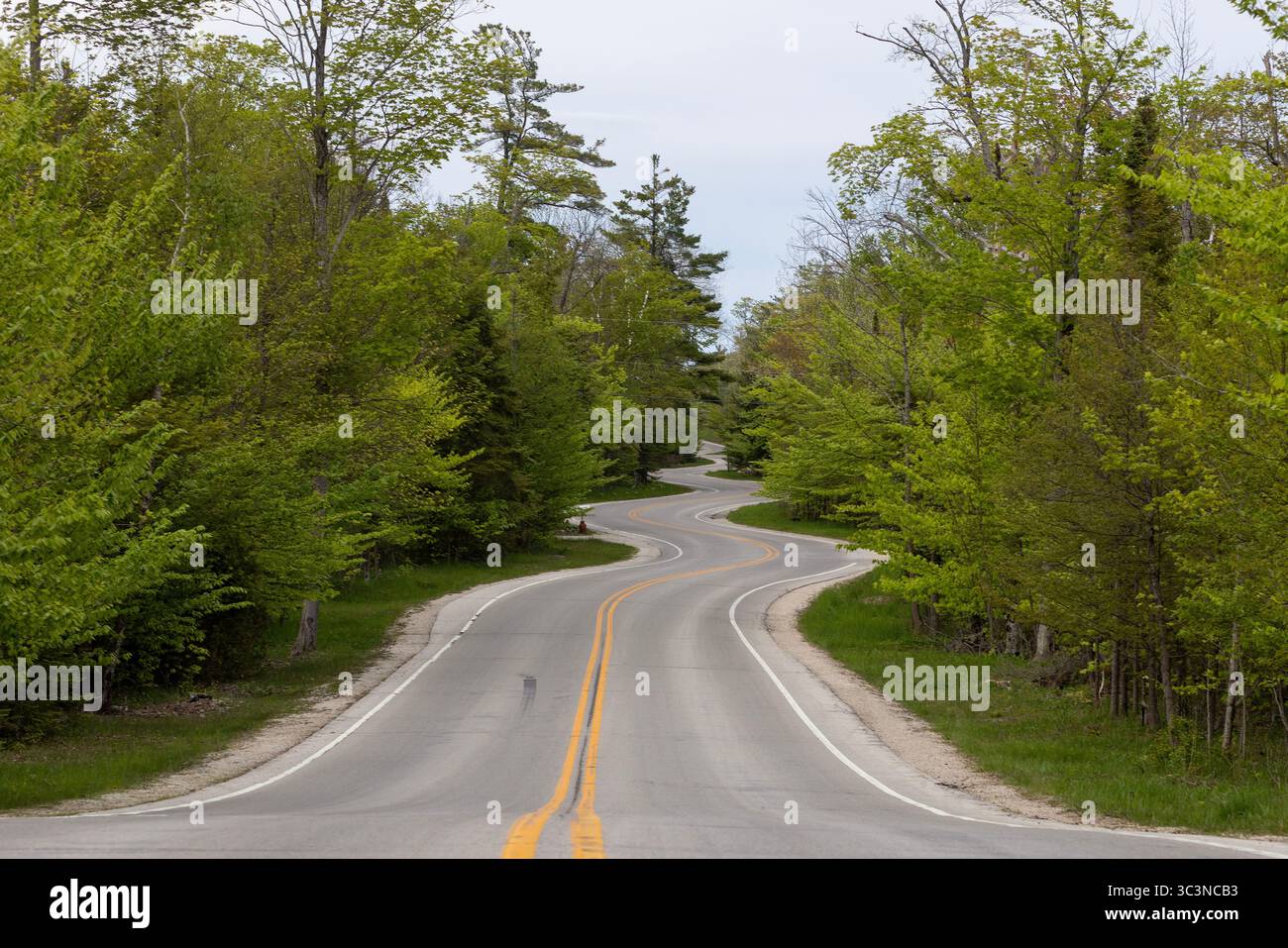 L'autostrada 42 vicino a Northport è una strada tortuosa nella contea di Door, Wisconsin, con 15 curve a serpentina che conducono al molo dei traghetti dell'isola di Washington. Foto Stock