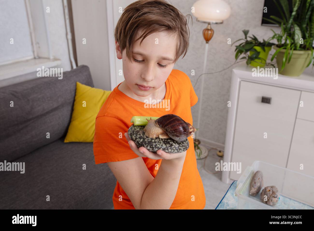 Il bambino esplora grandi lumache al chiuso. Foto Stock