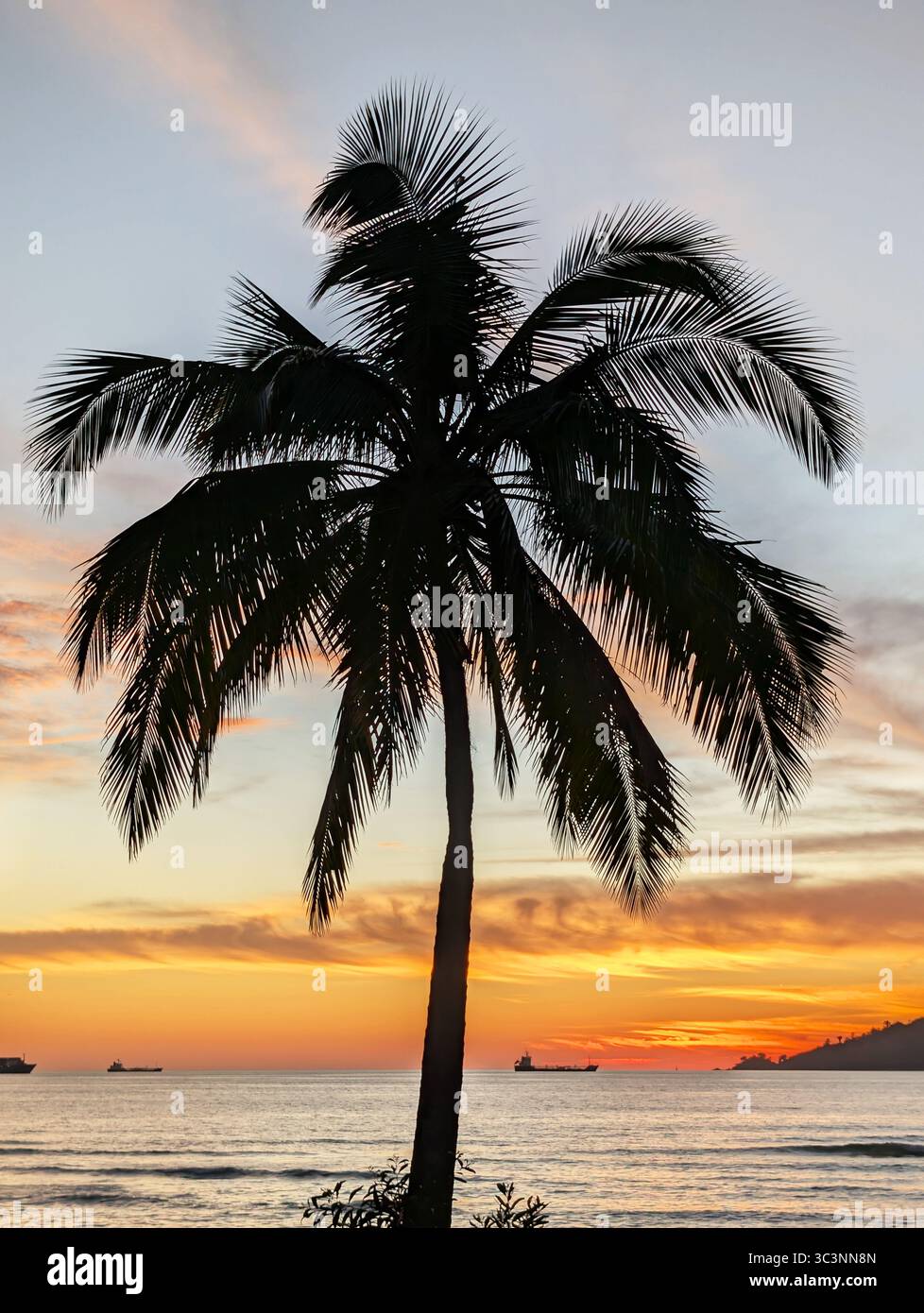 Silhouette di palme al tramonto sulla spiaggia di Kota Kinabalu Odec con sfondo di palme e spazio per copiare Foto Stock