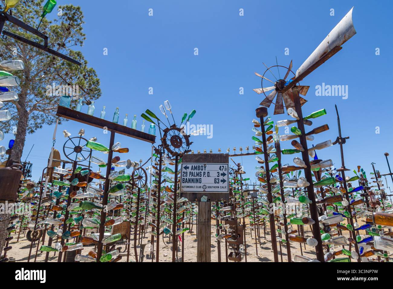 Elmer Long, morto nel 2019 all'età di 72 anni, creò questo ranch di alberi da bottiglia, montando la collezione di bottiglie del padre defunto su alberi di metallo saldati. Foto Stock