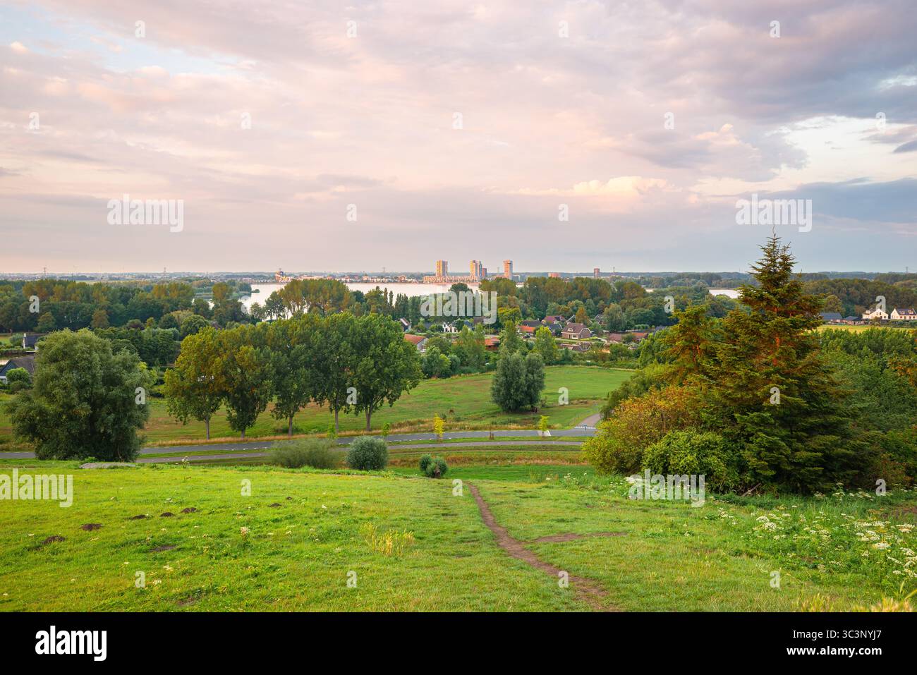 Idilliaco paesaggio di campagna con campi verdi e alberi al tramonto vicino a Nesselande, Rotterdam, Paesi Bassi. Foto Stock