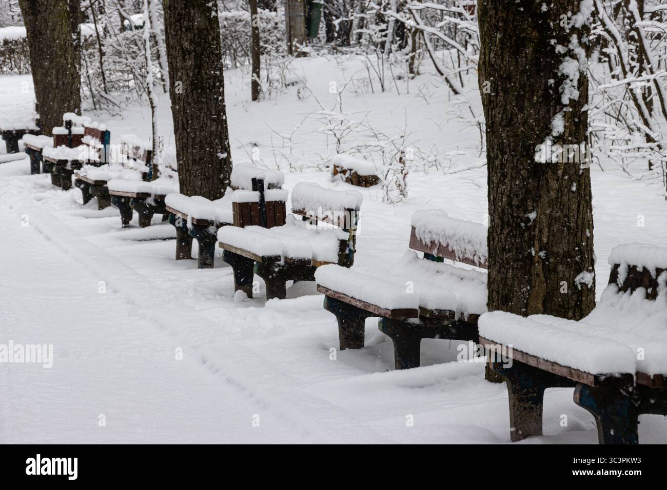 Fila di panchine nel parco coperte di neve. Giornata invernale nel parco Foto Stock
