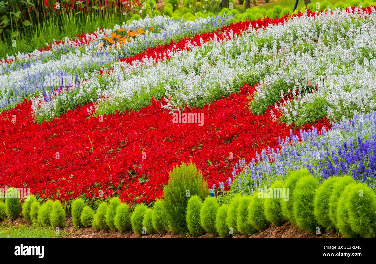 Un giardino colorato e grazioso Foto Stock