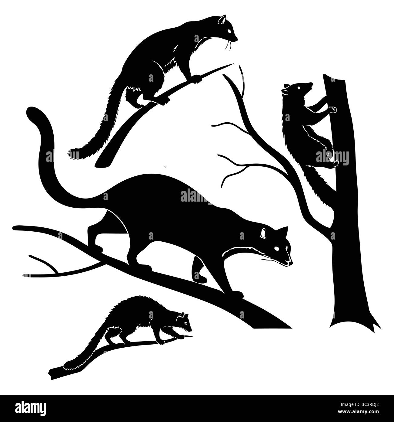 Sagome di mammiferi arboricoli africani del Civet delle palme che interagiscono sui rami degli alberi in un ambiente naturale Illustrazione Vettoriale