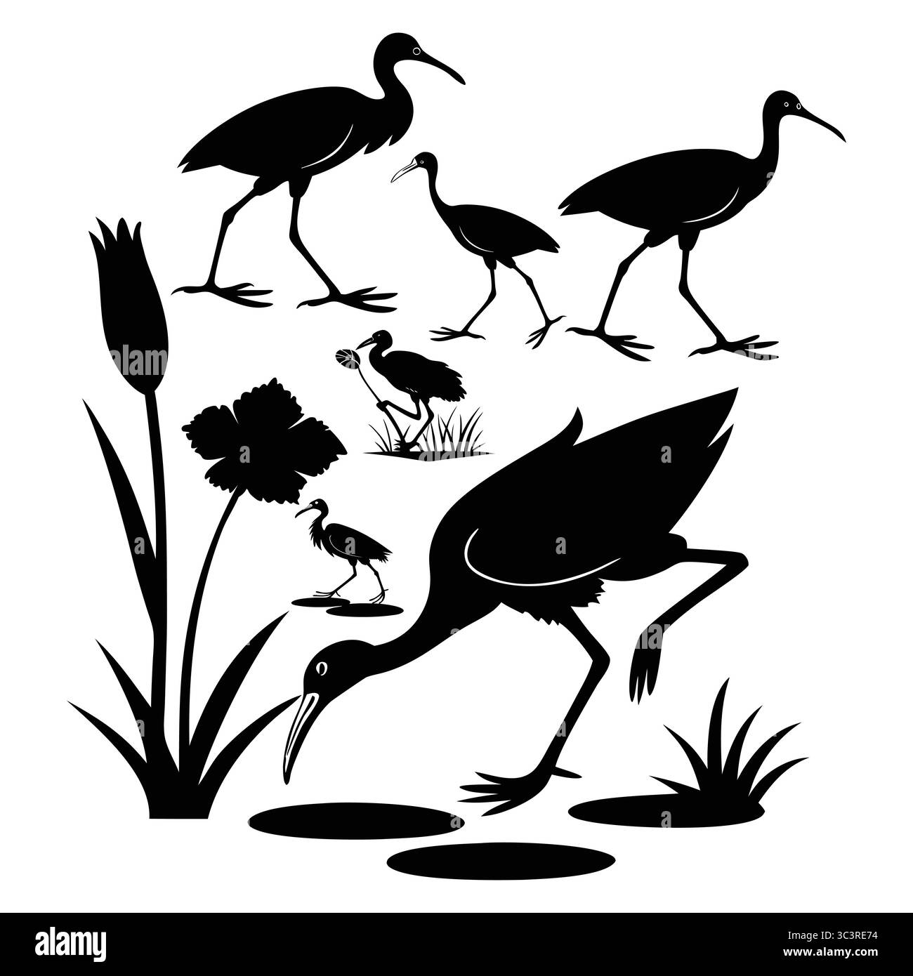 Silhouette di aironi e canne di jacana africana in una scena naturale di habitat Illustrazione Vettoriale