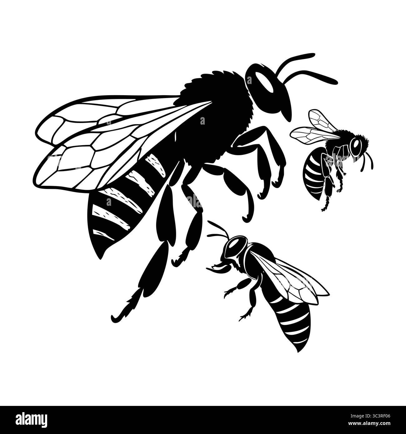Illustrazione di silhouette di tre api africanizzate che volano in varie dimensioni Illustrazione Vettoriale