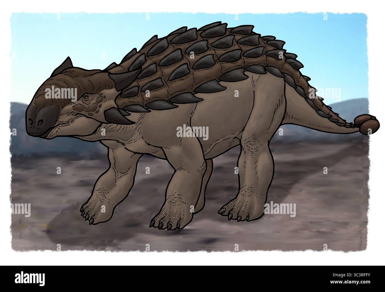 Ankylosaurus, un dinosauro corazzato. Foto Stock