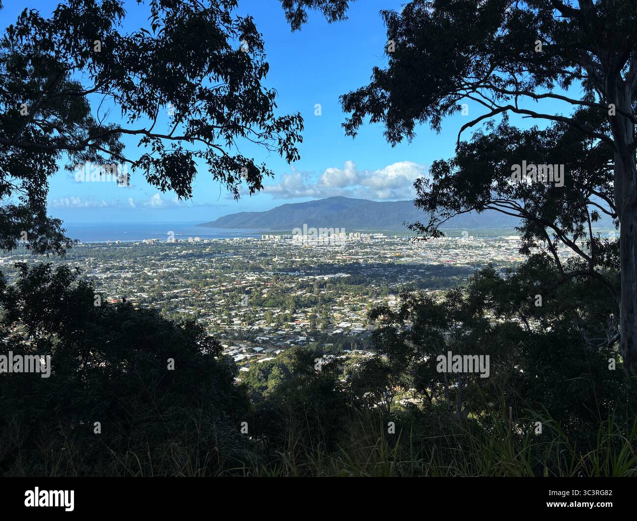 Vista verso il basso della città costiera di Cairns dalla foresta Lake Morris Rd, Dinden National Park, Queensland, Australia - Immagine stock catturata con smartphone
