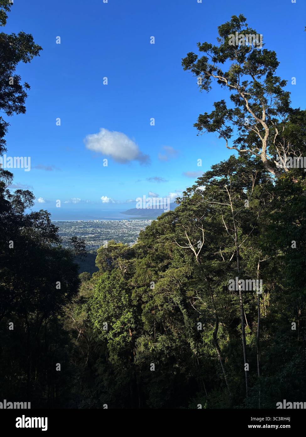 Vista verso il basso della città costiera di Cairns dalla foresta pluviale Lake Morris Rd, Dinden National Park, Queensland, Australia - Immagine stock catturata con smartphone