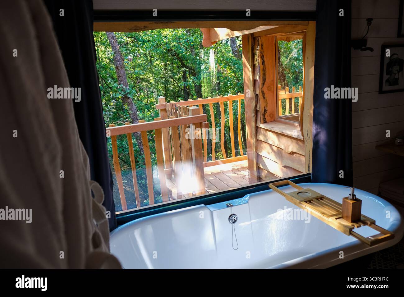 lussuose case sugli alberi nelle foreste Foto Stock