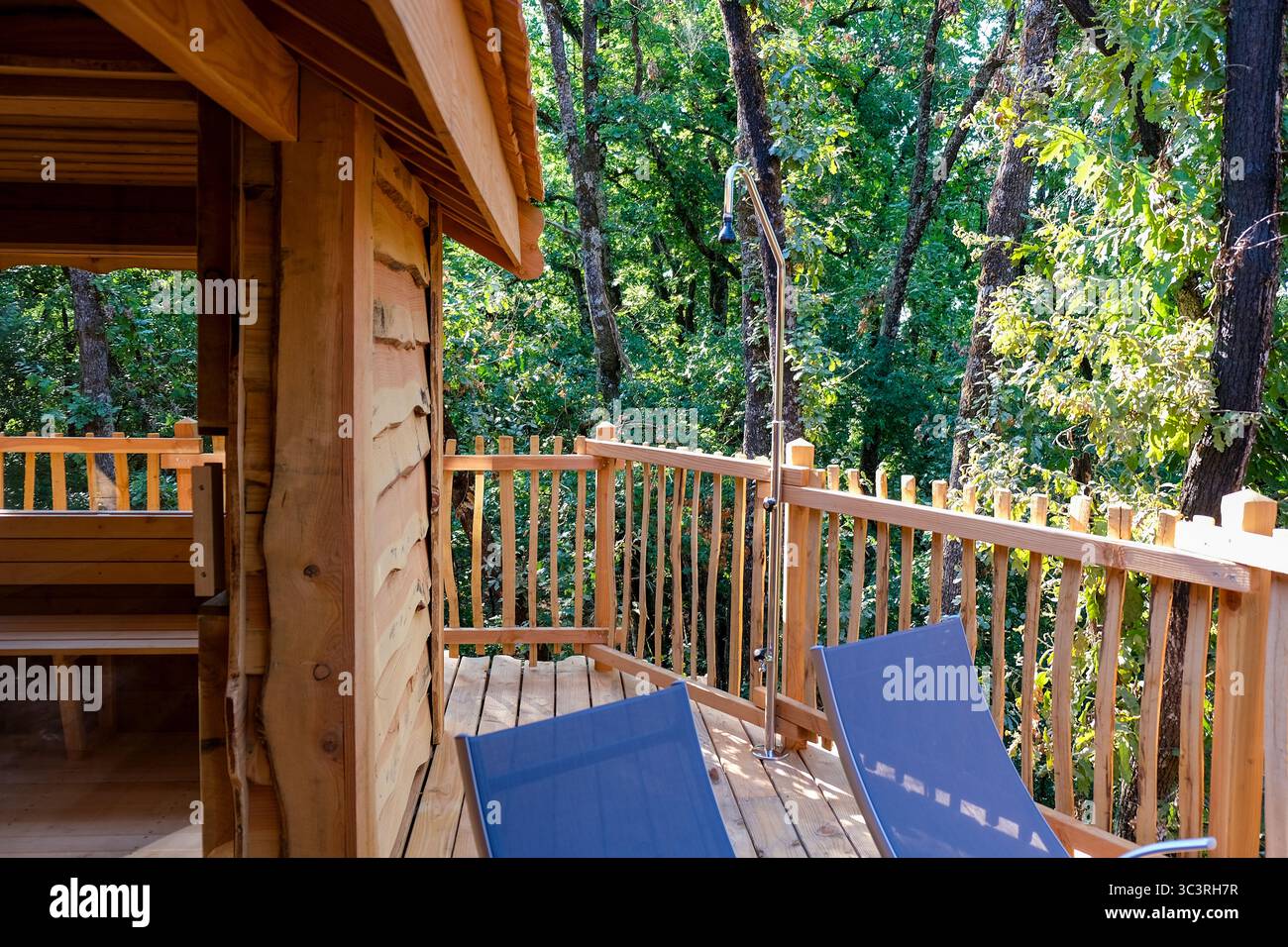 lussuose case sugli alberi nelle foreste Foto Stock