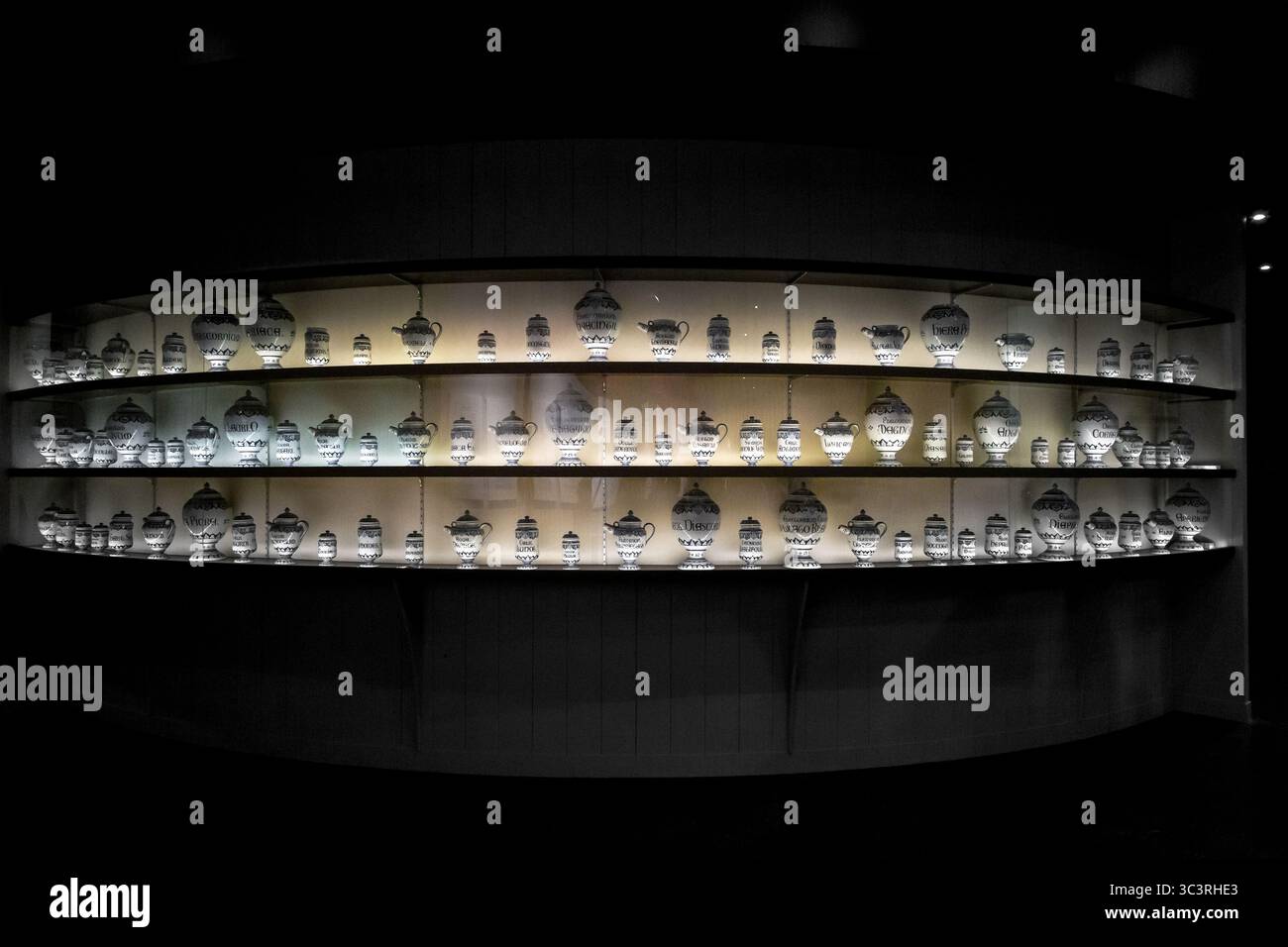 FECAMP, FRANCIA - 1 SETTEMBRE 2019: Si tratta di un rack in una stanza buia con un set di erbe utilizzate nella produzione del famoso liquore benedettino. Foto Stock