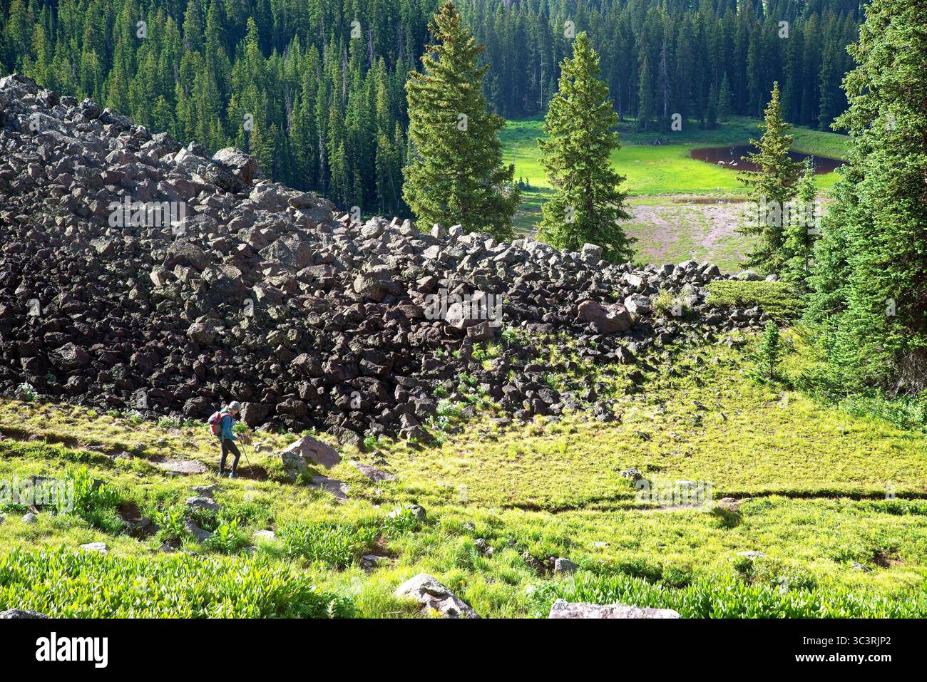 Una donna adulta che fa un'escursione sul sentiero della cima del Grand Mesa nel Colorado occidentale. Foto Stock
