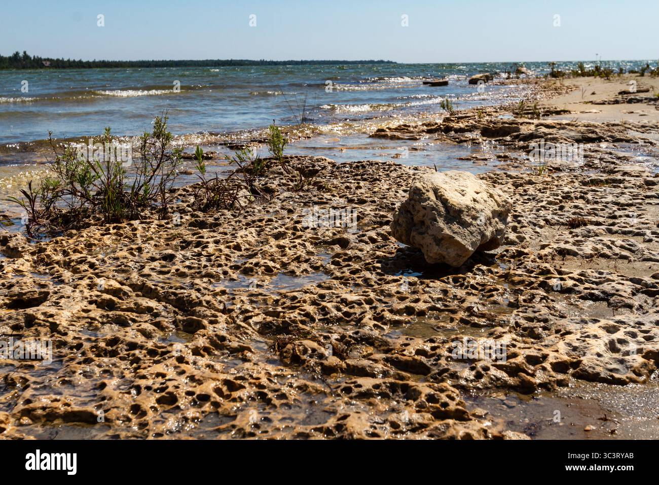 Lago Huron. La costa rocciosa selvaggia della penisola di Bruce. Ontario, Canada Foto Stock