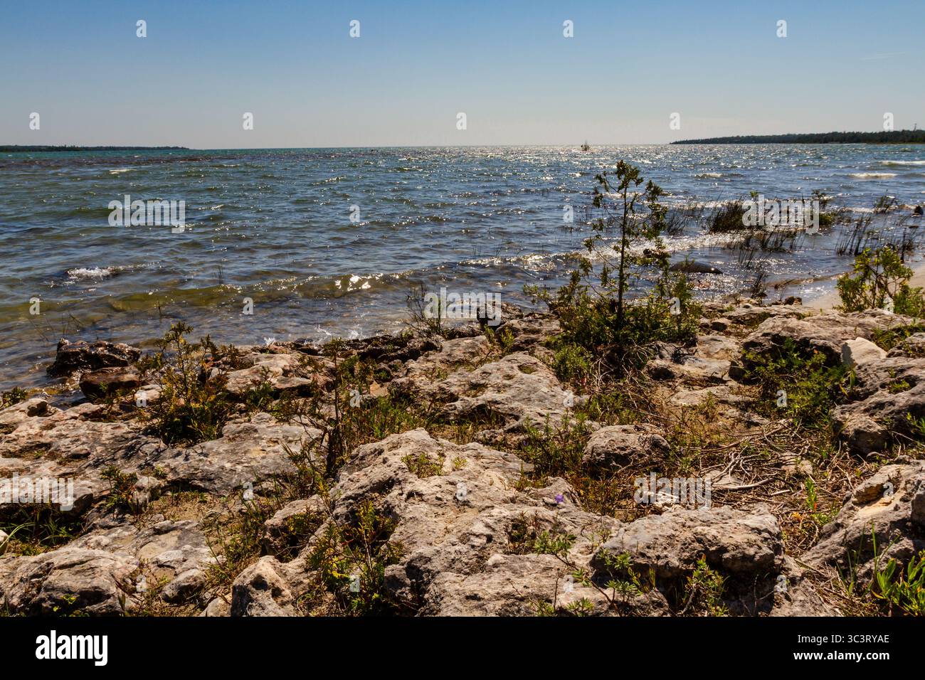 Lago Huron. La costa rocciosa selvaggia della penisola di Bruce. Ontario, Canada Foto Stock