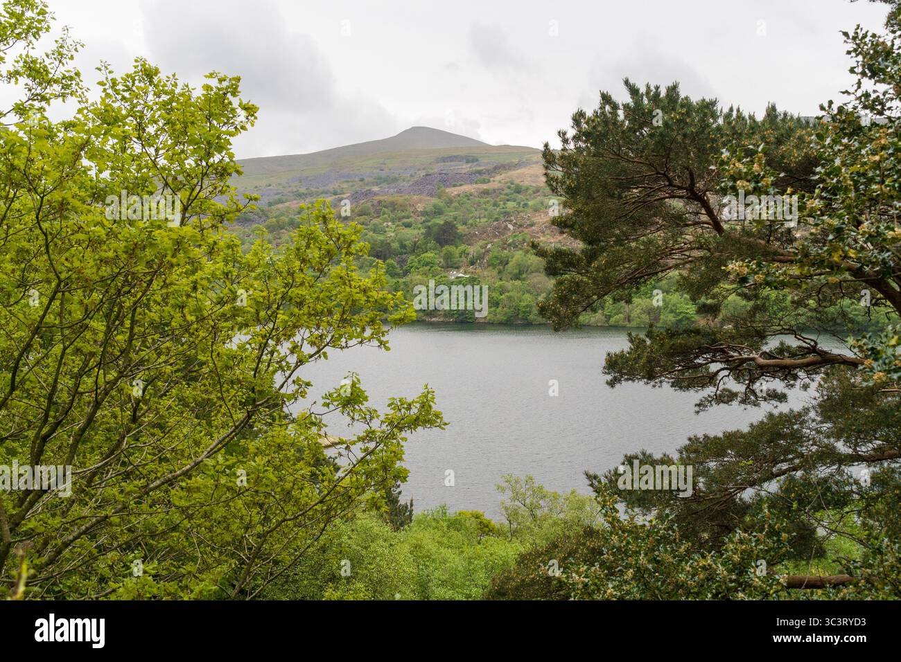 Llyn Peris vicino a Llaberis, in Galles Foto Stock