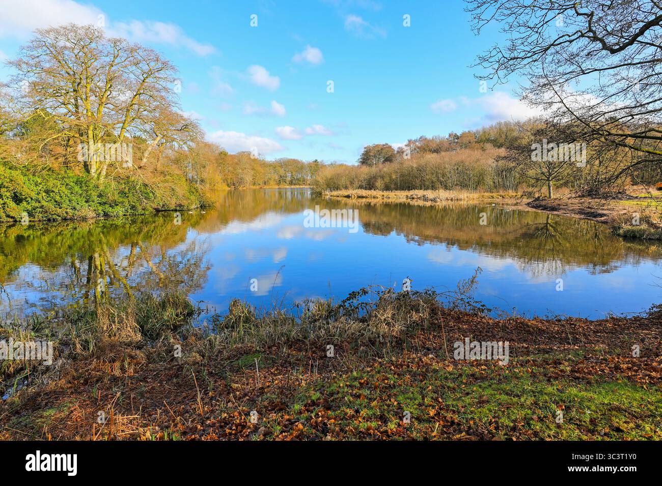 Piscina Rode Hall, Cheshire, Inghilterra, Regno Unito Foto Stock