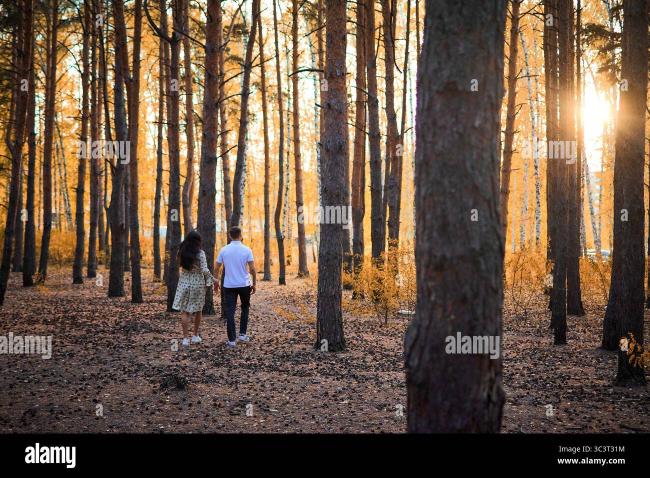 Una coppia che si gode l'autunno dorato tra le foglie gialle. Foto Stock