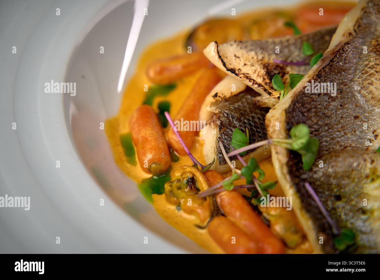Piatto gourmet di pesce con filetto di pesce tenero con carote colorate e intrigante salsa guarnita con microgreen freschi per eccellenza culinaria Foto Stock