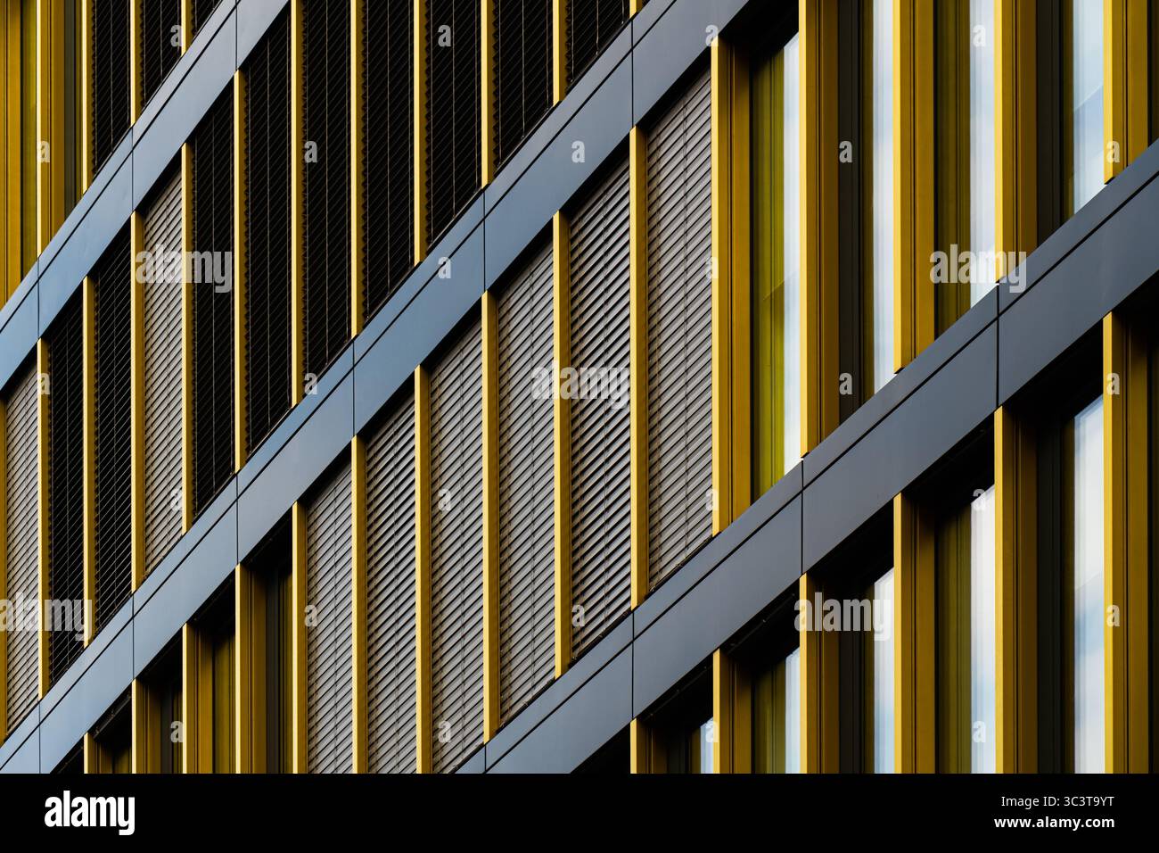 Facciata moderna dorata con eleganti pannelli verticali in alluminio Foto Stock