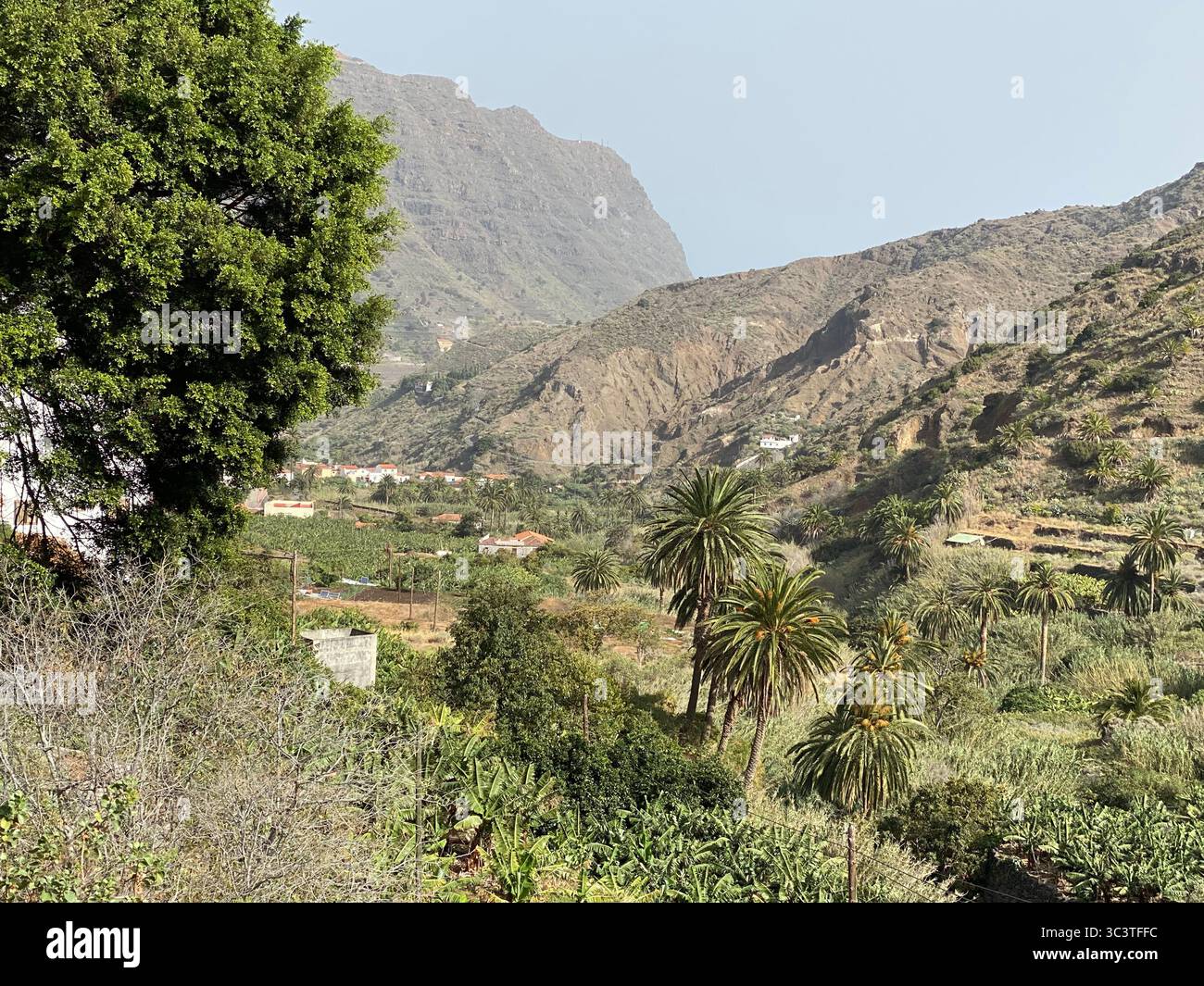 Il sole splende su un paesaggio di montagna pieno di vegetazione lussureggiante e verde a la Gomera, Isole Canarie. - Immagine stock catturata con smartphone