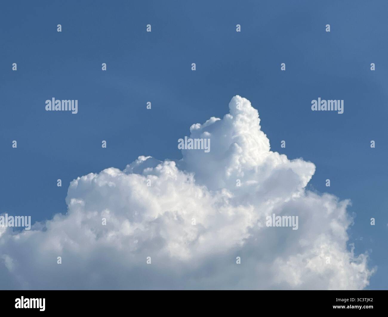 Una vista mozzafiato di una nuvola bianca soffice che galleggia in un cielo blu chiaro e vibrante. - Immagine stock catturata con smartphone