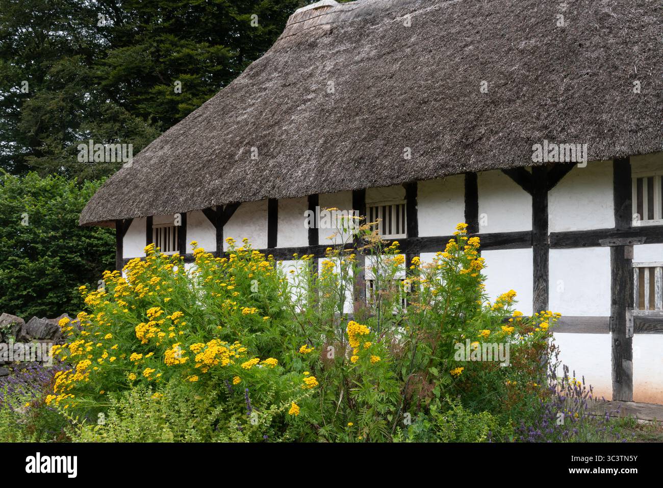St Fagans National Museum of History, un museo all'aperto nel Galles del Sud, Regno Unito, e una popolare attrazione turistica. Una fattoria con struttura in legno Foto Stock