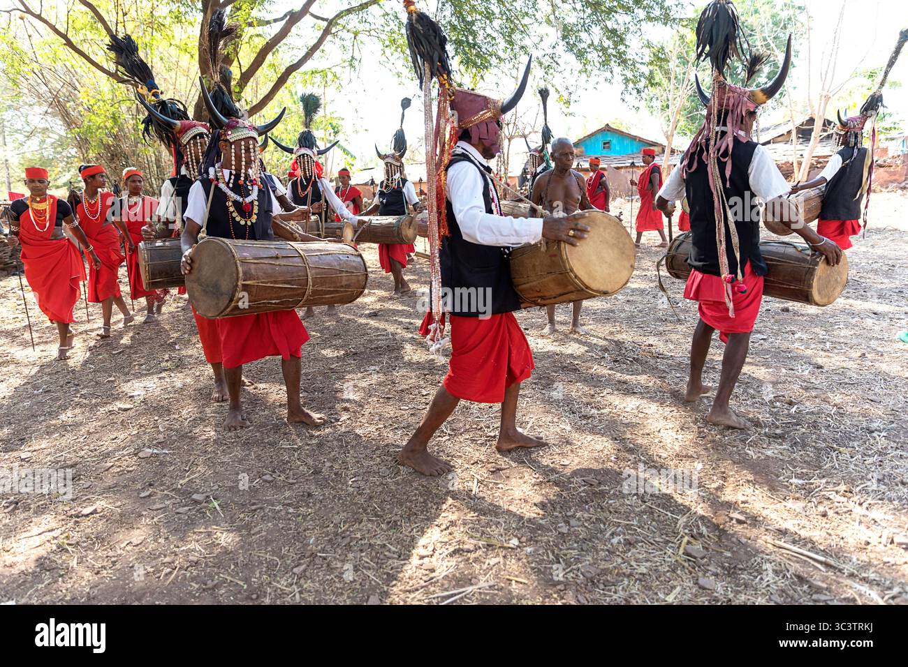 La tribù dei Bison-Horn Maria in costumi tradizionali esegue danze tradizionali, danze e suona alla batteria nella regione bastare, Chhattisgarh Foto Stock