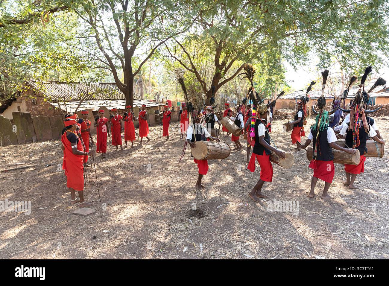 La tribù dei Bison-Horn Maria in costumi tradizionali esegue danze tradizionali, danze e suona alla batteria nella regione bastare, Chhattisgarh Foto Stock