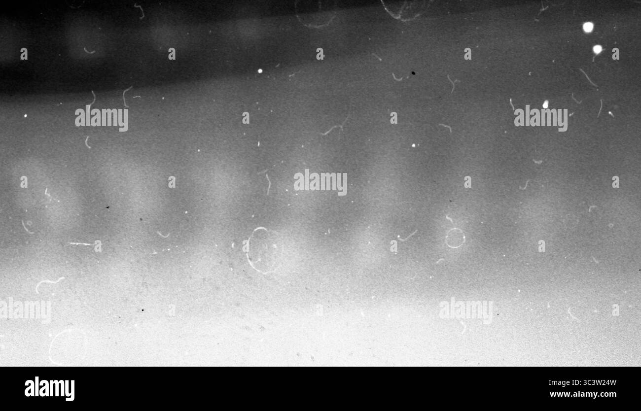 scansione pellicola 35 mm, astratta. Foto Stock