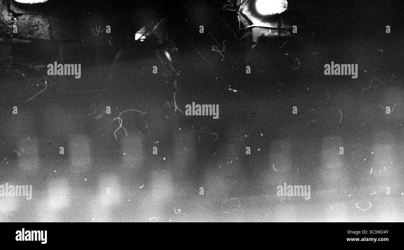 scansione pellicola 35 mm, astratta. Foto Stock