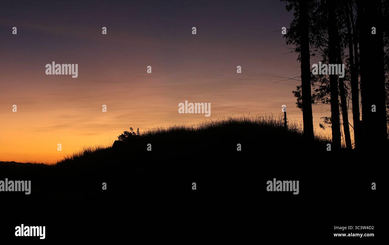 Paesaggio al tramonto con sagome di alberi alti e un cielo sfumato in sfumature di blu e arancione, creando una tranquilla scena naturale. Foto Stock