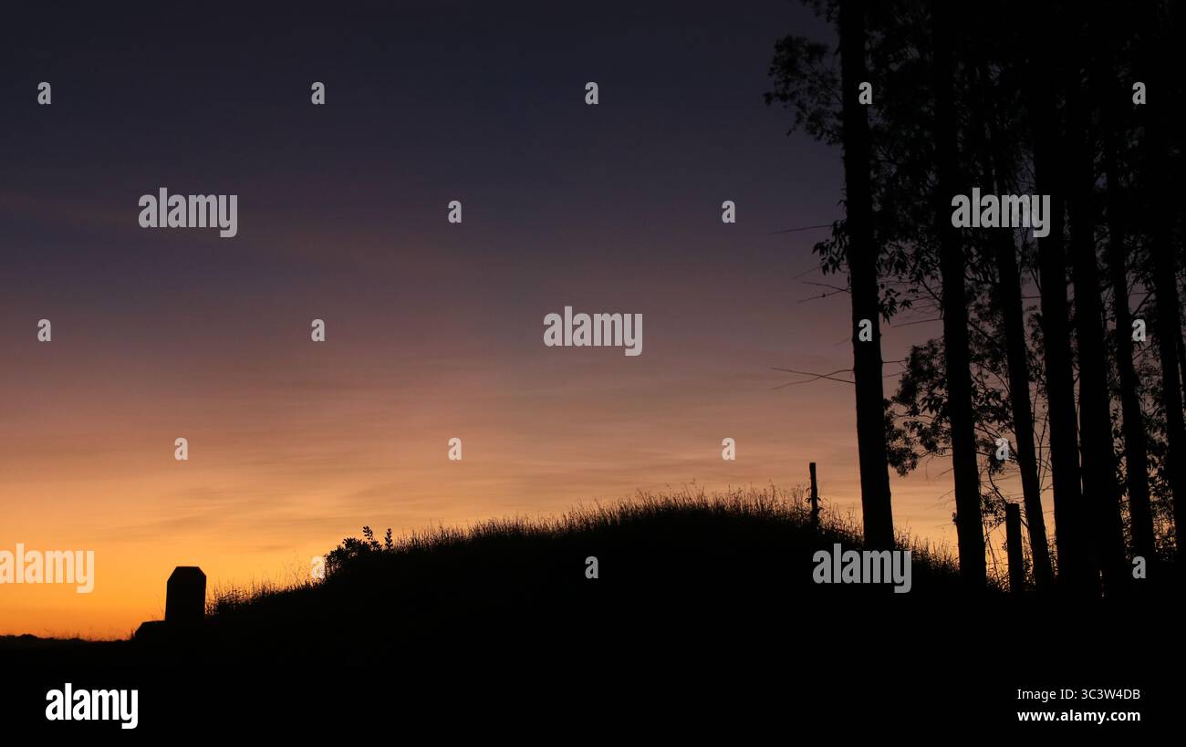 Paesaggio al tramonto con sagome di alberi alti e un cielo sfumato in sfumature di blu e arancione, creando una tranquilla scena naturale. Foto Stock