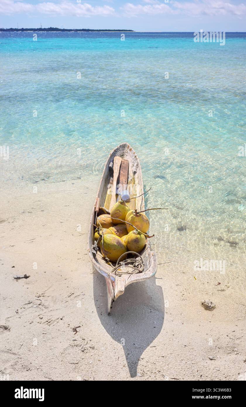 Noci di cocco in una barca di legno al largo della spiaggia di Timba, Isola di Timba, Borneo, Malesia. Foto Stock